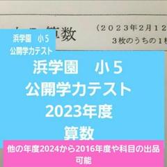 浜学園　小５　公開学力テスト　算数　２年分　2024年度～　年度変更可能