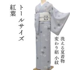 洗える夏着物 絽“竹トンボのように翔けて夏のしじまを彩る息吹”小紋 T-66 洗える夏着物 絽“竹トンボのように翔けて夏のしじまを彩る