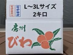 房州びわ 2Lサイズ2キロ箱入り ー房州びわー 袋びわ2kg | きしの屋オンラインストア