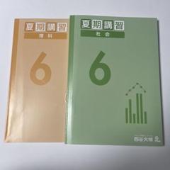 四谷大塚６年　春期/夏期講習　国算理　書き込み小　2019年度 2025年最新】6年 夏期講習 四谷大塚の人気アイテム - メルカリ