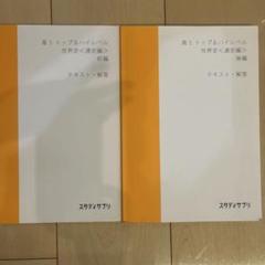 スタサプ　トップ＆ハイレベル 世界史〈通史編〉前編、後編