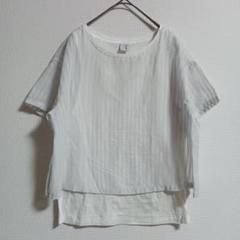 〚Ebonyivory〛エボニーアイボリー【F】Tシャツ シアー ストライプ