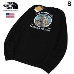 ノースフェイス【MOUNTAIN-LST】長袖 ロンTシャツ/ot4476S
