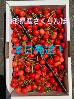 山形県産さくらんぼ 紅さやか