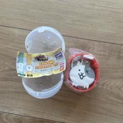 メルカリで本日中に売れなければ300円❗「君だけのニャンコ」