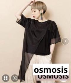 OSMOSISオズモーシス　アシンメトリーカットソー　Tシャツ　シアー　異素材のサムネイル