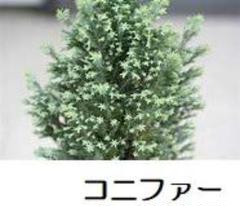 コニファー 低木の中古 未使用品を探そう メルカリ