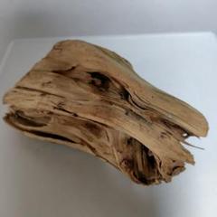 流木・ナチュラルウッド・工作素材