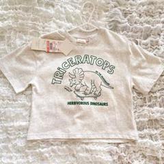 綿100% 恐竜 トリケラトプス 半袖 Tシャツ