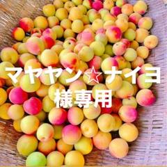 マヤヤン⭐︎ナイヨ　岡山県産　南高梅　5キロ マヤヤン⭐︎ナイヨ様専用 岡山県産 南高梅 5キロ - メルカリ