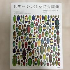 世界一うつくしい昆虫図鑑