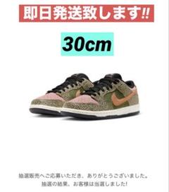 Nike SB Arts-Rec Dunk Low Pro QS