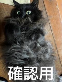 確認用