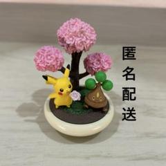 2025年最新】ぽけっとbonsai2 小さな四季の物語の人気アイテム