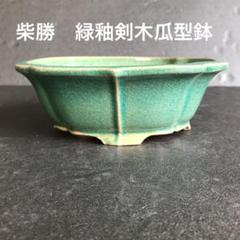 柴勝　盆栽鉢　ミニ盆栽鉢　植木鉢　盆栽　落款 2025年最新】柴勝の人気アイテム - メルカリ