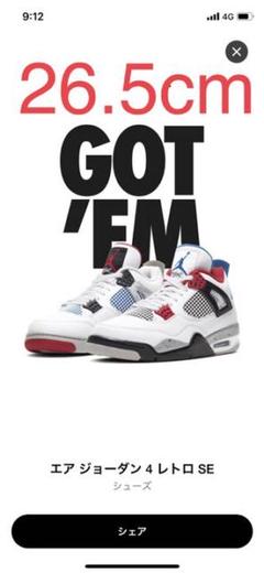 AIR JORDAN 4 RETRO SE WHAT THE 4 ジョーダン