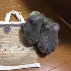 2025年最新】あちゃちゅむ 靴の人気アイテム - メルカリ