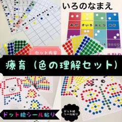 シール貼り 教材 【色の理解セット】モンテッソーリ 視覚支援 知育 療育