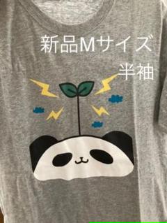 パンダのたぷたぷの中古 未使用品を探そう メルカリ