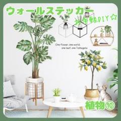 ウォールステッカー植物１０壁紙シールおしゃれ北欧風部屋飾りDIYインテイリア人気