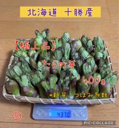 2025年最新】天然 タラの芽の人気アイテム - メルカリ