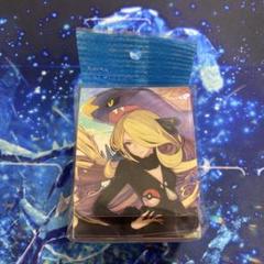 【新品・未使用】ポケモンカードゲーム デッキケース スリーブ リーリエ シロナ ポケモンカードゲーム デッキケース シロナ＆ガブリアス
