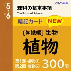 【100】❗️中学受験　国語・算数・理科・社会　暗記カード　セット ❗️14日まで割引【100】‼️中学受験 国語・算数・理科・社会