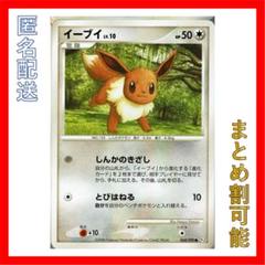 2025年最新】ポケモンずかんカード イーブイの人気アイテム