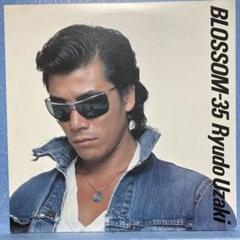 宇崎竜童、ＬＰ 宇崎竜童 / ブラッサム-35 | PASSTIME RECORDS / パスタイム