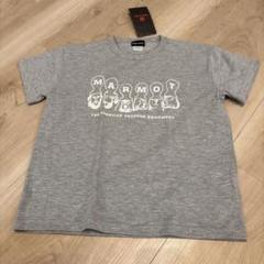 【Marmot】　マーモット　半袖Tシャツ　110