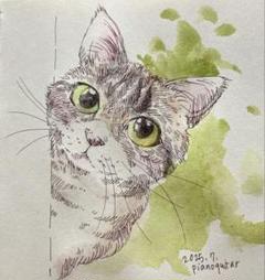 チラッと覗く猫　12×12cm ミリペンイラスト