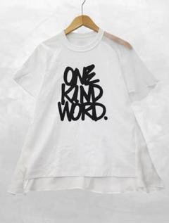 Sacai コラボTシャツ Eric Haze サカイ Sacai × Eric Haze 異素材 切替 プリント Tシャツ 2