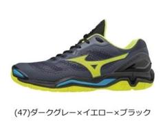 ✨美品✨　ミズノ　ハンドボール　シューズ　ウェーブステルス　26.0