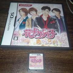 ポ【動作確認済】花より男子 恋せよ女子！【ＤＳ】