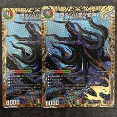 堕チシ八叉ノ蛇神 ナルガロッチヴリドカルド 2枚 シークレット シク