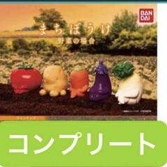 まちぼうけ　野菜　その1 コンプリート 2025年最新】まちぼうけ 野菜1の人気アイテム - メルカリ
