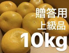 愛媛 贈答用 宇和ゴールド 10Kg 河内晩柑 嵐ゴールド