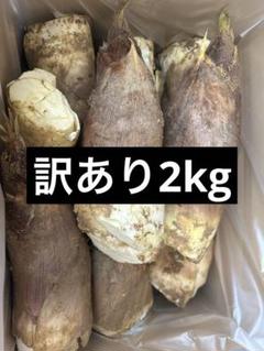 スイーツ様　京都山城産　朝掘り筍訳あり5kg 2025年最新】朝掘りたけのこの人気アイテム - メルカリ