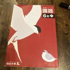 2025年最新】予習シリーズ6年国語の人気アイテム - メルカリ