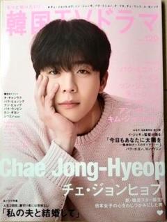 もっと知りたい!韓国TVドラマvol 120 表紙チェジョンヒョプのサムネイル