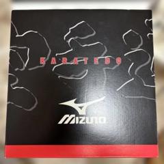 空手　ミズノ　メンホー　Lサイズ MIZUNOニューメンホーVII Lサイズ 空手プロテクター (ミズノ空手