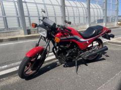 GPz250ベルトドライブ タンク Yahoo!オークション -「gpz250 ベルトドライブ」の落札相場