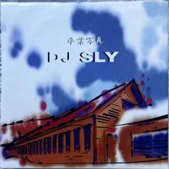DJ SLY 羊羹写真 33 1/3 RPM