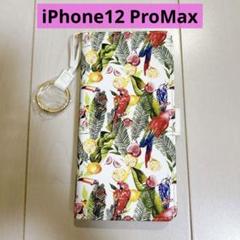 Hanman iPhone12 ProMax ケース 手帳型 オウム