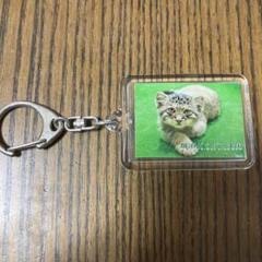 那須　マヌルネコ　キーホルダー