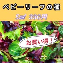 ⭐︎人気⭐︎ ベビーリーフの種 30種Mix 5㎖330円 珍しい野菜の種