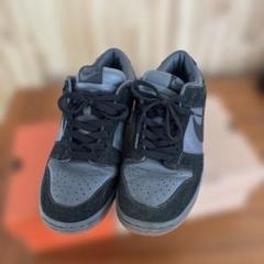 2003年製 NIKE DUNK LOW PRO 624044-002