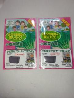 DCM 小松菜の種 試供品 おうち時間 家庭菜園 べランダ菜園のサムネイル