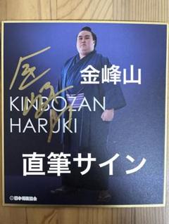 平成３年第15回日本大相撲トーナメント　幕内力士サイン一覧 幕内トーナメント、1～3回戦と優勝戦(第37回日本大相撲