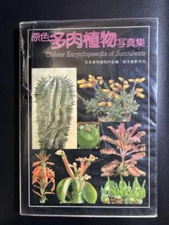 2025年最新】多肉植物写真集の人気アイテム - メルカリ